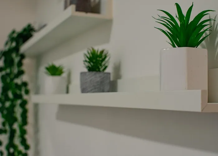 Il Dubbio Ai Spagnoli 아파트 나폴리